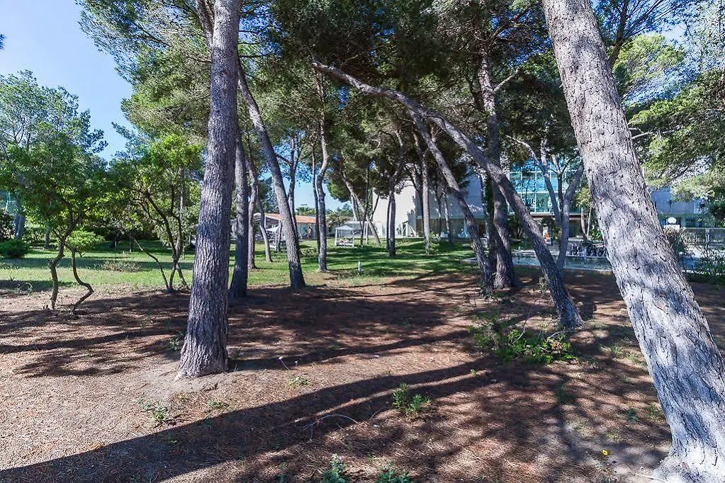 ****  Отель Zafiro Alzina Mar (Adults Only) Кан Пикафорт Испания